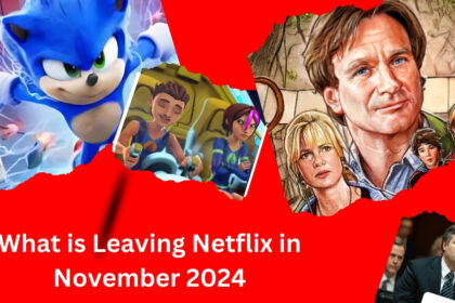 What is Leaving Netflix in November 2024